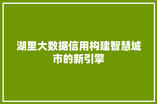 湖里大数据信用构建智慧城市的新引擎