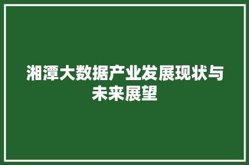 湘潭大数据产业发展现状与未来展望  第1张
