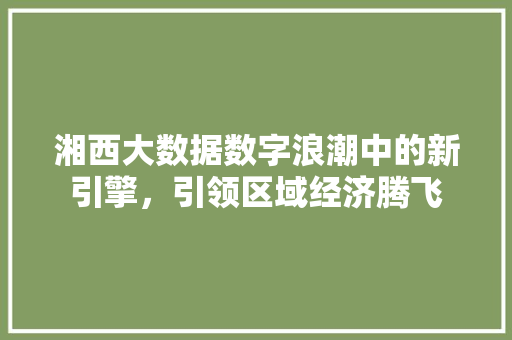 湘西大数据数字浪潮中的新引擎，引领区域经济腾飞