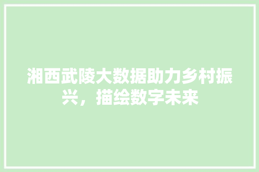 湘西武陵大数据助力乡村振兴，描绘数字未来  第1张