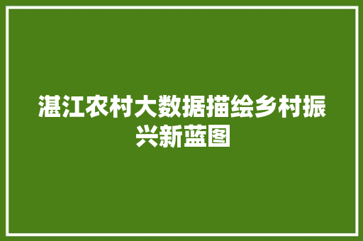 湛江农村大数据描绘乡村振兴新蓝图  第1张
