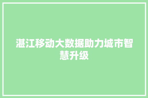 湛江移动大数据助力城市智慧升级