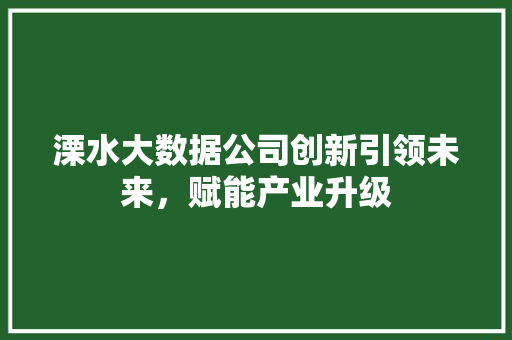 溧水大数据公司创新引领未来，赋能产业升级  第1张