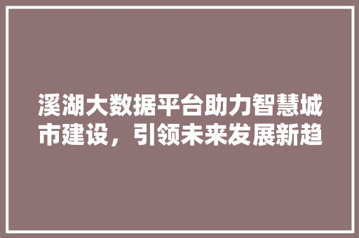 溪湖大数据平台助力智慧城市建设，引领未来发展新趋势