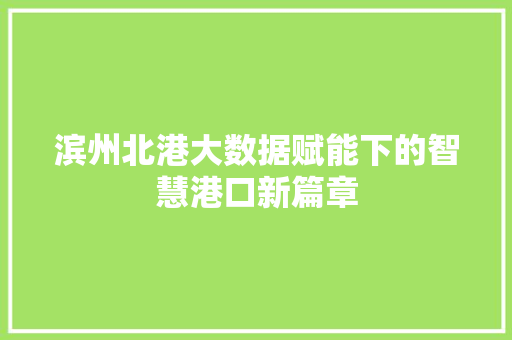 滨州北港大数据赋能下的智慧港口新篇章