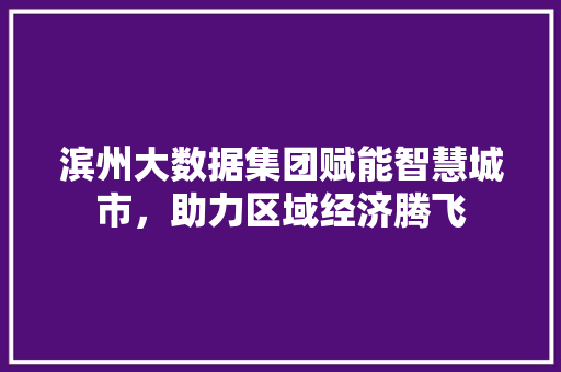 滨州大数据集团赋能智慧城市，助力区域经济腾飞