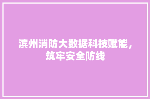 滨州消防大数据科技赋能，筑牢安全防线  第1张