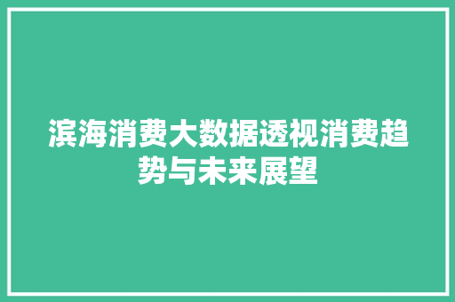 滨海消费大数据透视消费趋势与未来展望