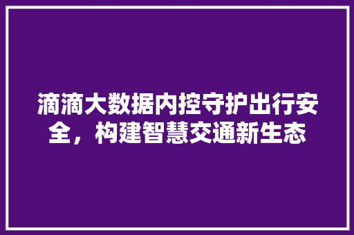 滴滴大数据内控守护出行安全，构建智慧交通新生态  第1张