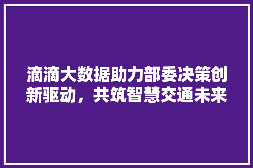 滴滴大数据助力部委决策创新驱动，共筑智慧交通未来