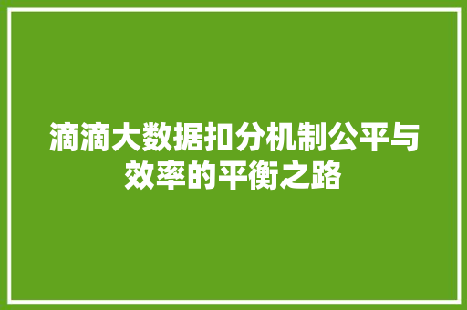 滴滴大数据扣分机制公平与效率的平衡之路