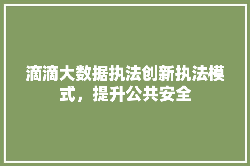 滴滴大数据执法创新执法模式，提升公共安全