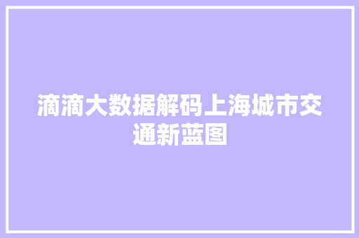 滴滴大数据解码上海城市交通新蓝图  第1张