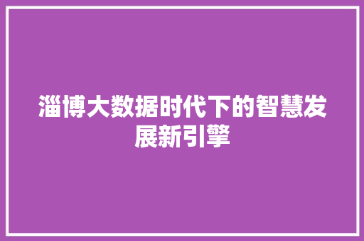 淄博大数据时代下的智慧发展新引擎
