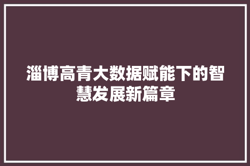 淄博高青大数据赋能下的智慧发展新篇章