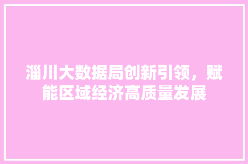 淄川大数据局创新引领，赋能区域经济高质量发展  第1张