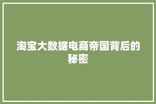 淘宝大数据电商帝国背后的秘密  第1张