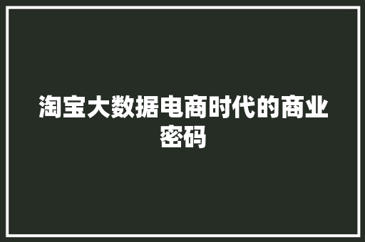 淘宝大数据电商时代的商业密码  第1张