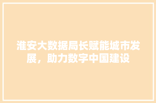 淮安大数据局长赋能城市发展，助力数字中国建设