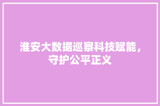 淮安大数据巡察科技赋能，守护公平正义
