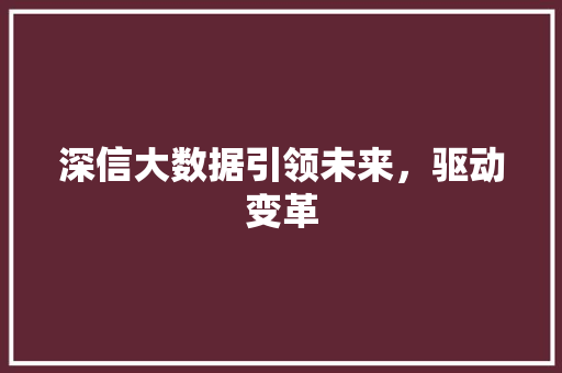 深信大数据引领未来，驱动变革  第1张