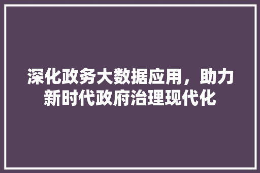 深化政务大数据应用，助力新时代政府治理现代化