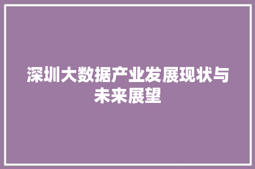 深圳大数据产业发展现状与未来展望  第1张