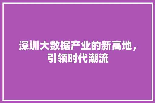 深圳大数据产业的新高地，引领时代潮流  第1张