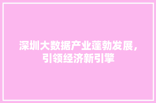 深圳大数据产业蓬勃发展，引领经济新引擎  第1张