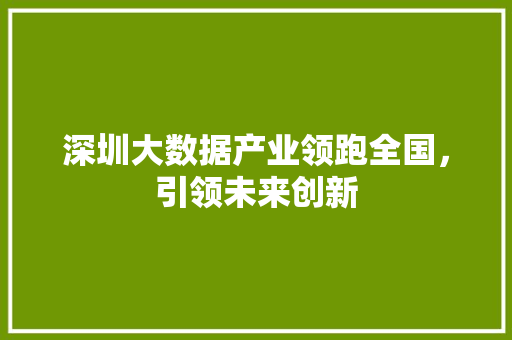 深圳大数据产业领跑全国，引领未来创新  第1张