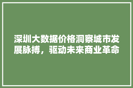 深圳大数据价格洞察城市发展脉搏，驱动未来商业革命  第1张