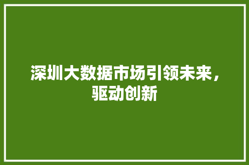 深圳大数据市场引领未来，驱动创新  第1张