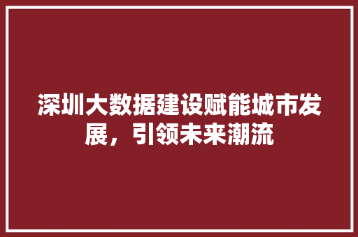 深圳大数据建设赋能城市发展，引领未来潮流  第1张