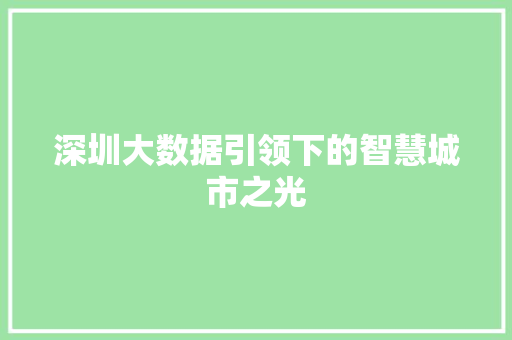 深圳大数据引领下的智慧城市之光  第1张