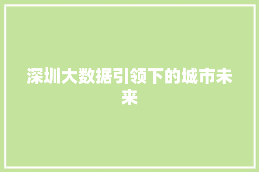 深圳大数据引领下的城市未来  第1张