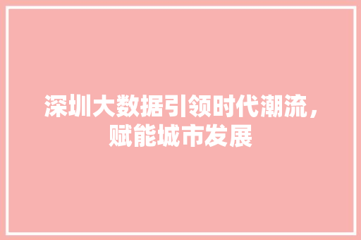 深圳大数据引领时代潮流，赋能城市发展  第1张