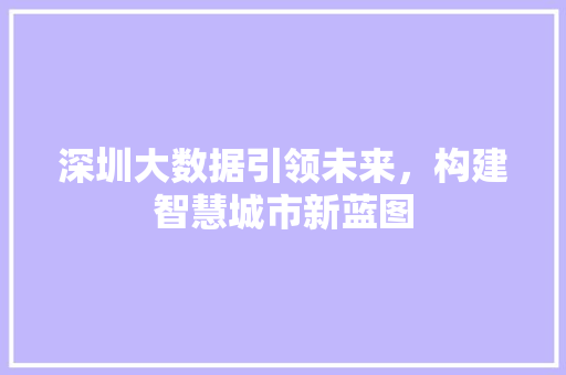 深圳大数据引领未来，构建智慧城市新蓝图  第1张