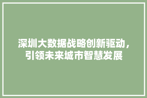 深圳大数据战略创新驱动，引领未来城市智慧发展  第1张