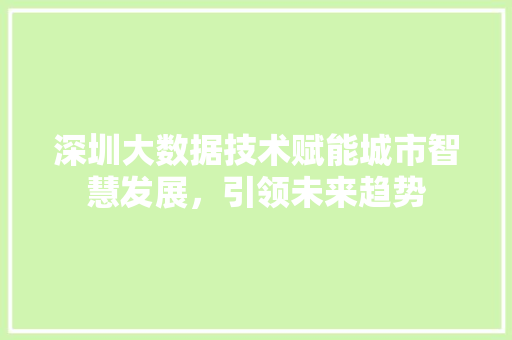 深圳大数据技术赋能城市智慧发展，引领未来趋势  第1张