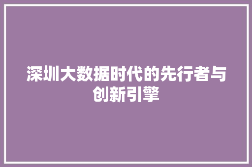 深圳大数据时代的先行者与创新引擎  第1张