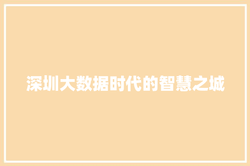 深圳大数据时代的智慧之城  第1张
