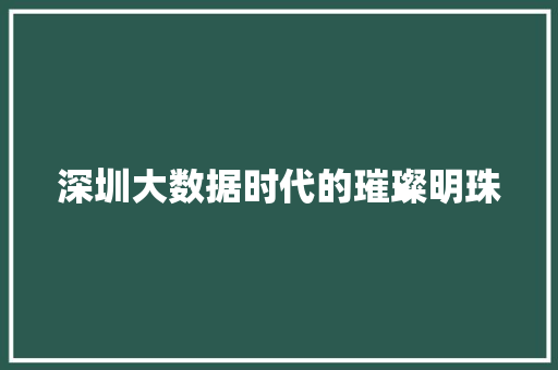 深圳大数据时代的璀璨明珠  第1张