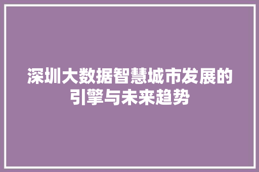 深圳大数据智慧城市发展的引擎与未来趋势  第1张