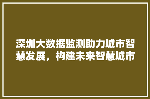 深圳大数据监测助力城市智慧发展，构建未来智慧城市新蓝图  第1张