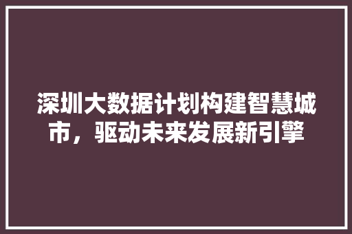 深圳大数据计划构建智慧城市，驱动未来发展新引擎  第1张