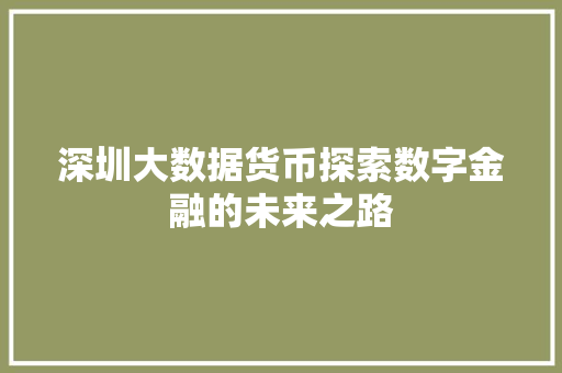 深圳大数据货币探索数字金融的未来之路