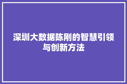 深圳大数据陈刚的智慧引领与创新方法  第1张