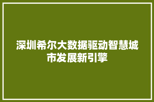 深圳希尔大数据驱动智慧城市发展新引擎