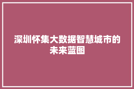 深圳怀集大数据智慧城市的未来蓝图  第1张