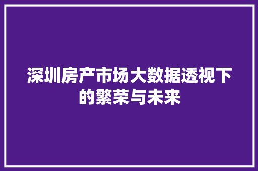 深圳房产市场大数据透视下的繁荣与未来  第1张